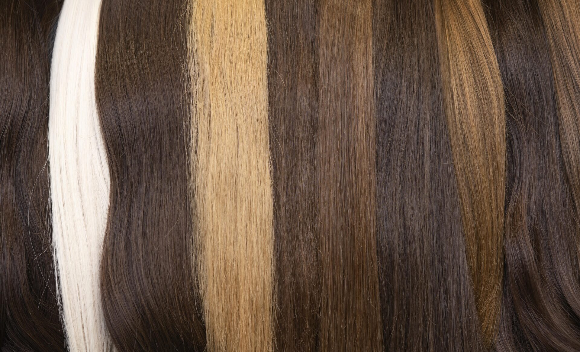 
Diferentes mechas de cabelo, alinhadas lado a lado, em uma variedade de tons, incluindo loiro platinado, loiro escuro, castanho e tons de marrom. A imagem destaca as variadas cores e texturas do cabelo, sugerindo diversidade e opções de coloração.